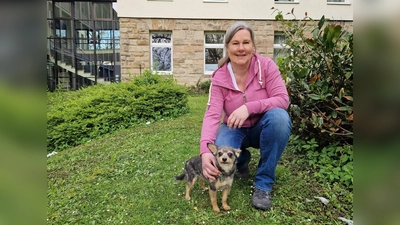 Birgit Rothenberg vom (FB V Finanzen) mit Yorkshire-Mischling Monty (8), der die neue Hundesteuermarke der Stadt Warburg am Halsband trägt. (Foto: Stadt Warburg)